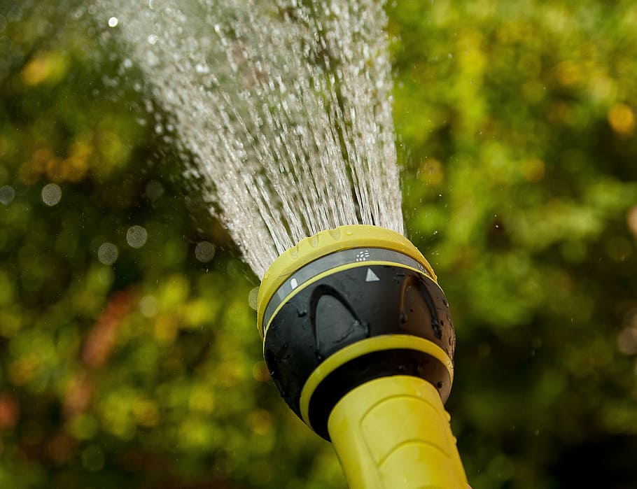 watering, water jet, gardener, focus on foreground, water, nature, day, outdoors, yellow, motion