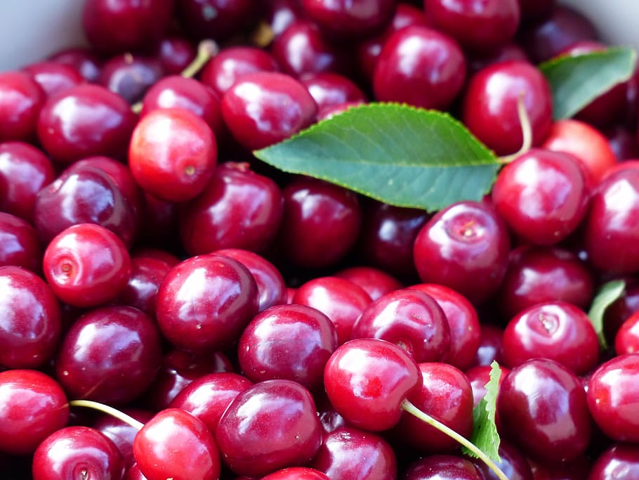 close-up photo, red, cherries, cherry, sweet cherry, fruit, healthy, leaves, branch, summer