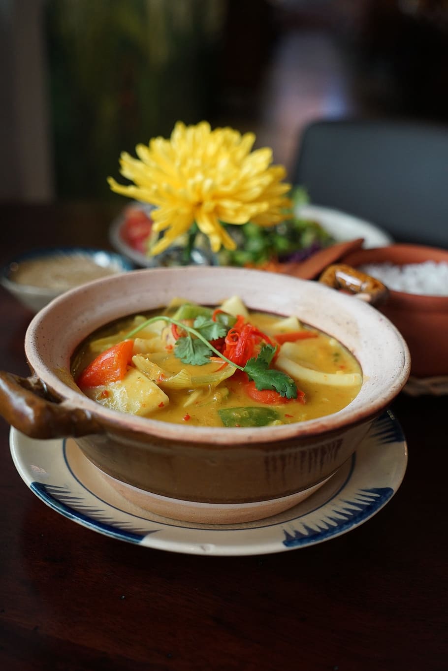 cooked, vegetable stew, bowl, Curry, Vietnam, Flower, Leak, hoian, hanoi, chinese new year