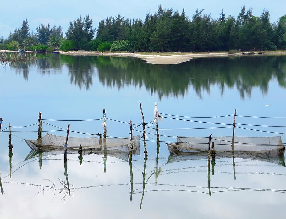 viet nam, danang, lake, fishing, fisherman, netting, calm, serenity, reflections, reflection