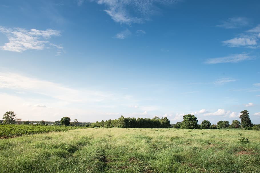 sky, sky blue after the rain, beautiful, relax, view, nature, outdoor,  background, beauty, at leisure | Pxfuel