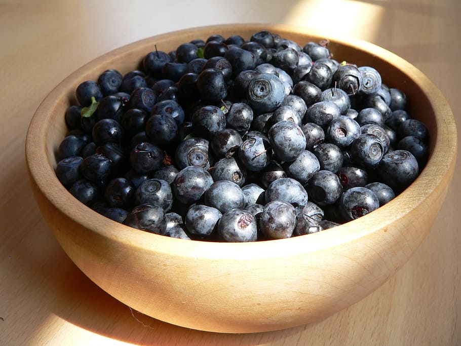 blueberries, purple, berries, berry, blue, forest, food and drink, food, freshness, wellbeing