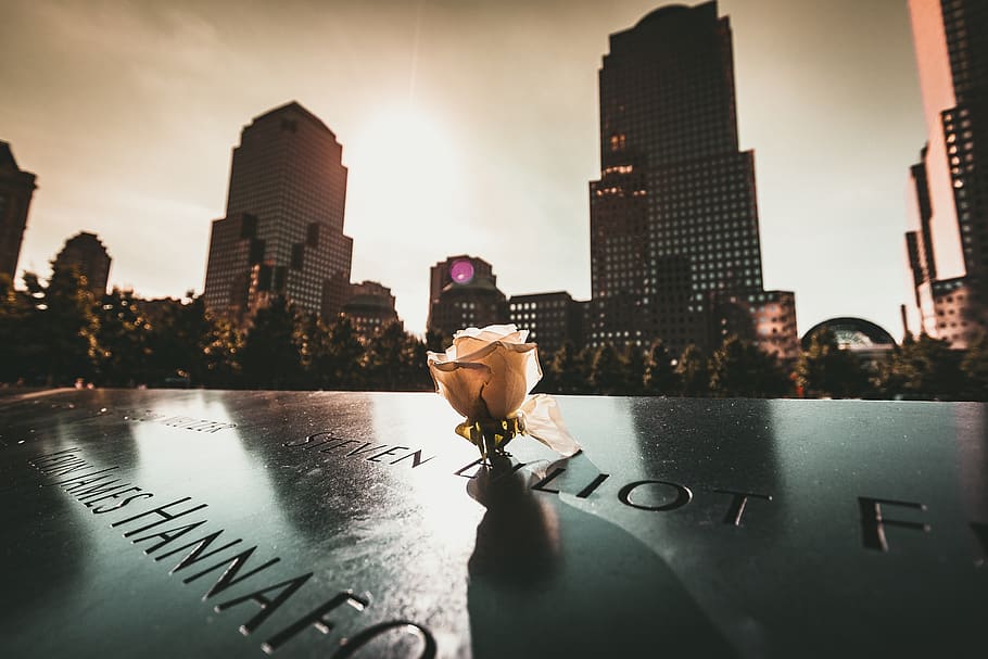 Nueva York, memorial, Estados Unidos, América, rosa, rosa blanca, puesta de sol, trágico, 9 11, exterior del edificio