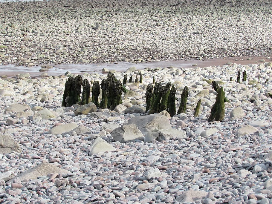 stones, beach, stony beach, sea, nature, ocean, rock, pebble, coast, stone background
