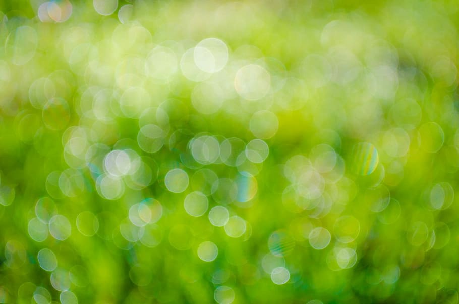 green, bokeh, photography, background, abstract, plant, fresh, sky, blur, meadow