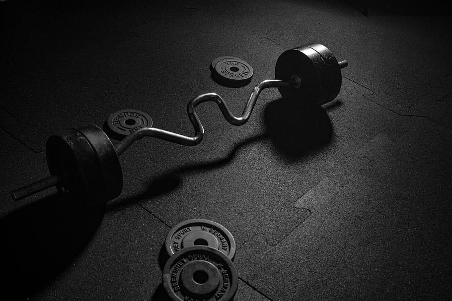 grayscale photo, ez, curl, barbell, weight plates, dumbbell, sport, weights, fitness room, strength training