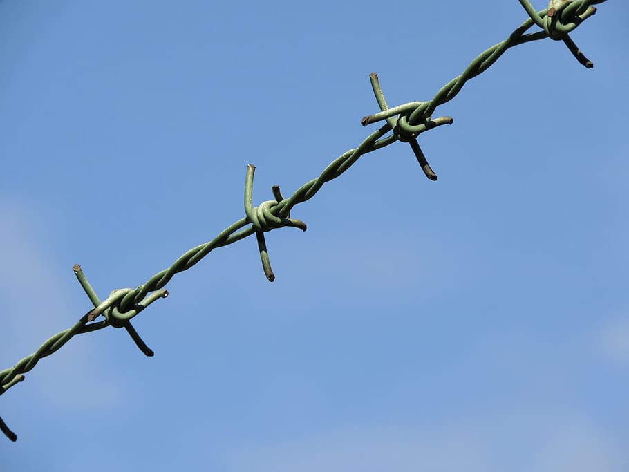 Barbed Wire, Imprisoned, sky, wire, fence, security, blue, protection, low angle view, outdoors