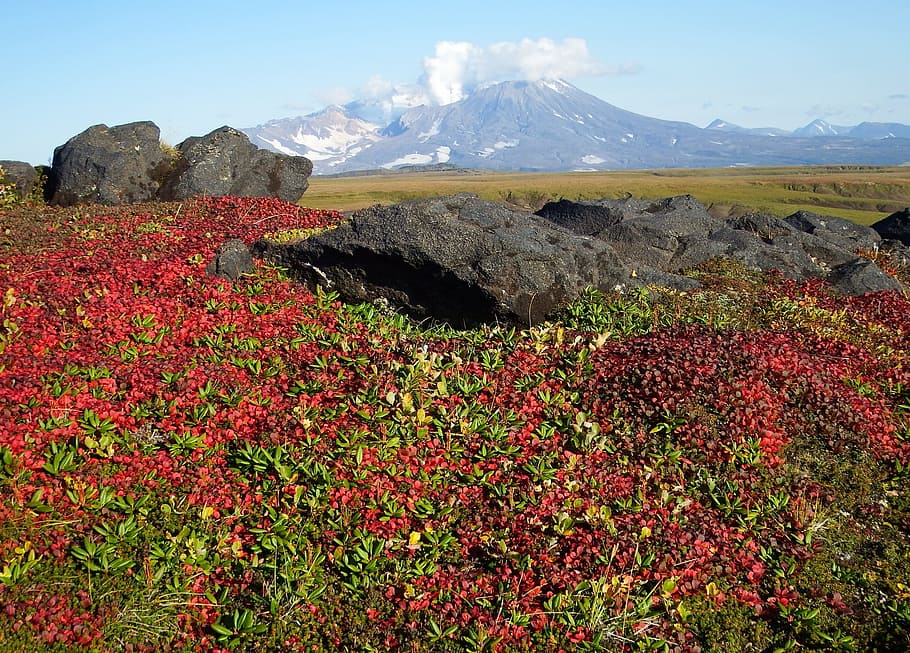 montañas, volcán, tundra, otoño, carretera, paisaje, naturaleza, el pie, kamchatka, espacio abierto