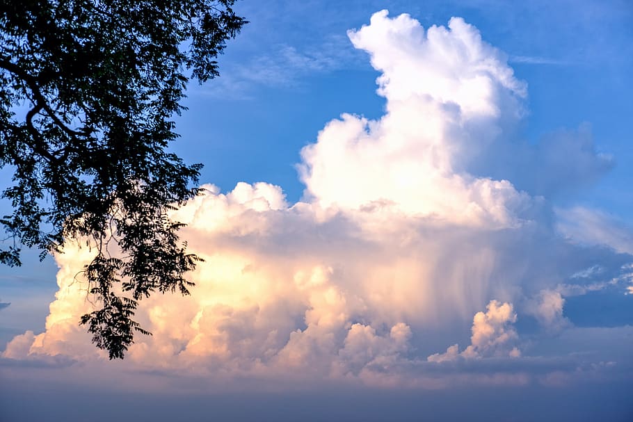 sky, cloud, threatening, fascination, landscape, cloud - sky, beauty in nature, tree, low angle view, tranquility