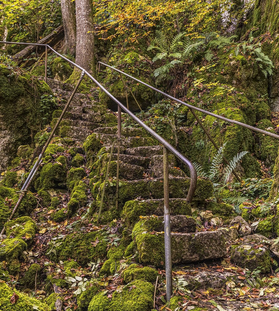 stairs, overgrown, old, moss, nature, emergence, green, fouling, railing, hike
