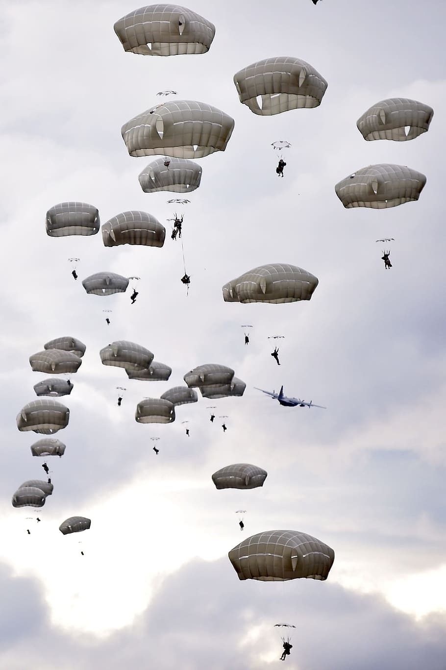 gente parapente, paracaídas, entrenamiento, paracaidismo, saltos, militar, aerotransportado, avión, paracaidistas, americano