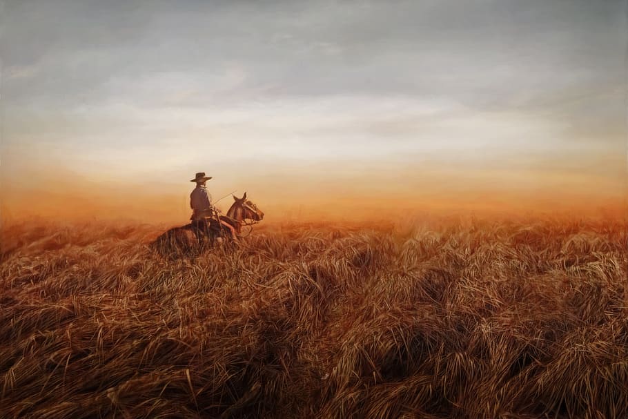 cowboy, horse, field, sky, land, nature, sunset, landscape, rural scene, animal wildlife