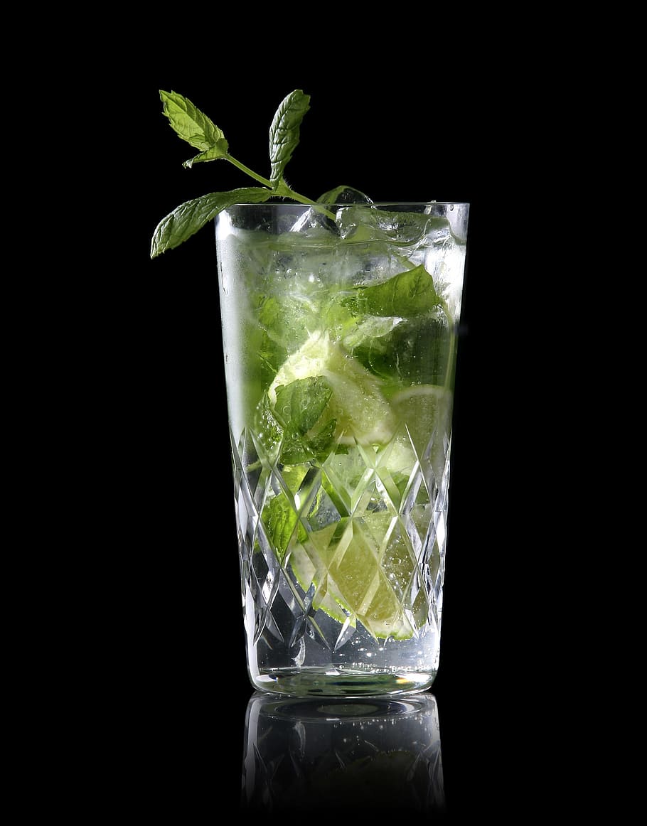 mojito, ron, bacardi, leaf, cocktail, mint leaf - culinary, studio shot, drinking glass, food and drink, black background
