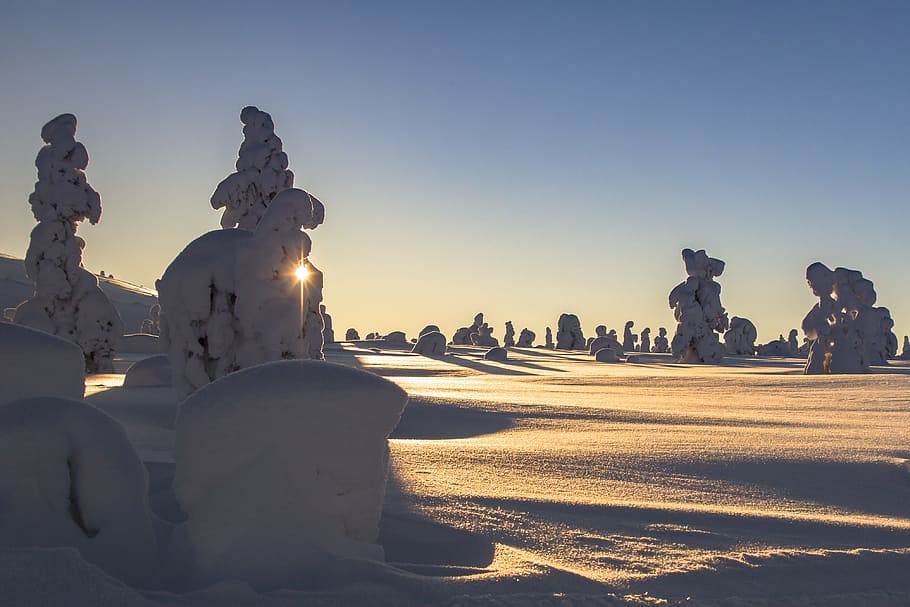 snow art, clear, sky, lapland, winter, snow, landscape, wintry, finland, cold