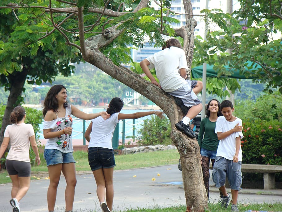 youth, rio de janeiro, park, joke, fun, young, teenager, group of people, plant, tree