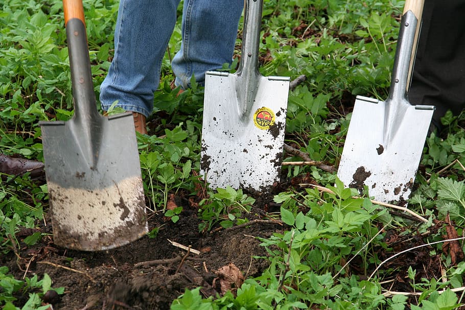 people, digging, soil, using, shovels, gardening, gardener, nursery, landscape gardener, spade