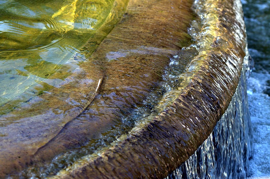 fountain, water, flow, water basin, close-up, food and drink, fish, animal, freshness, nature