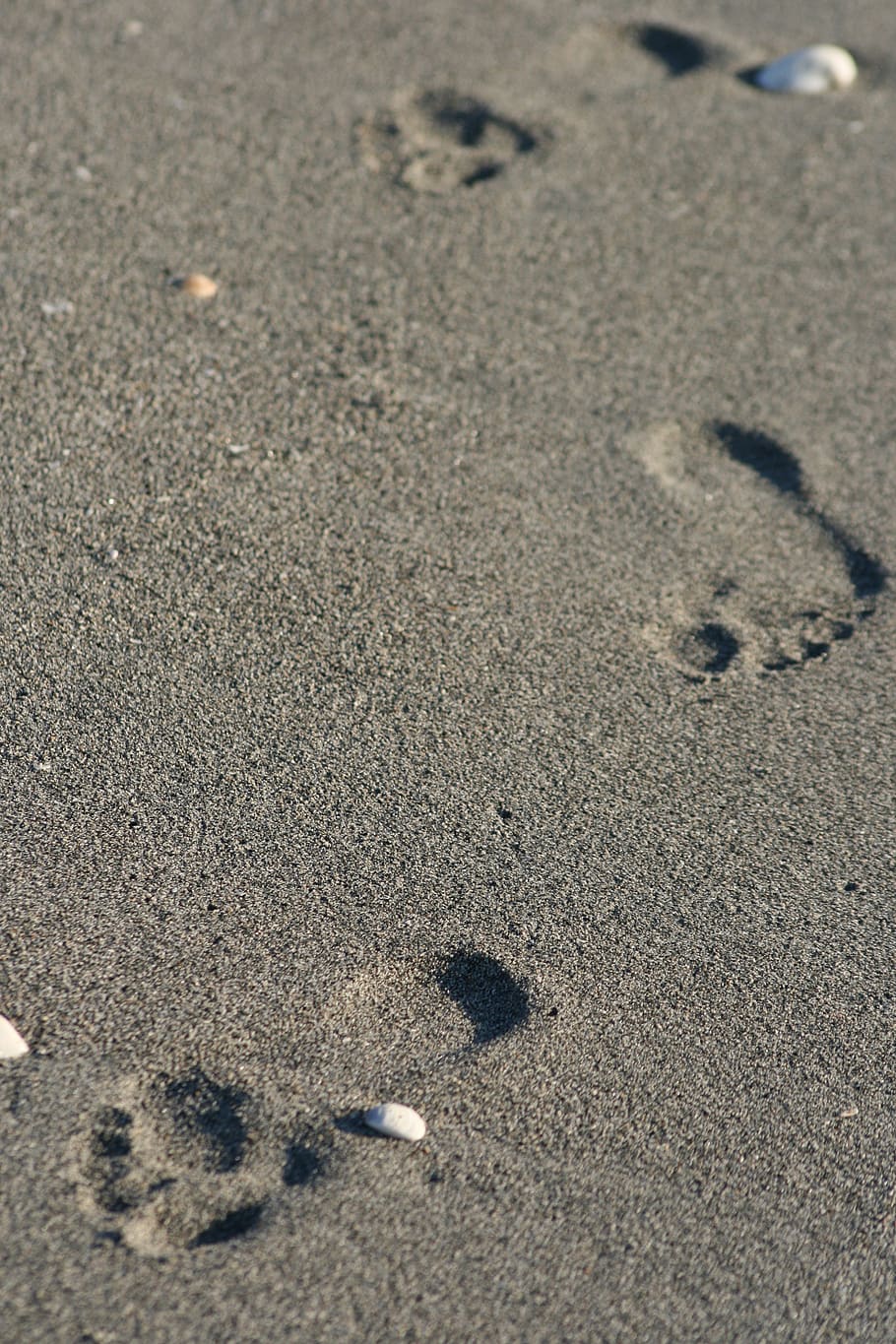 pegadas, areia, praia, com os pés descalços, pé, viagem, lazer, explorando, costa, oceano