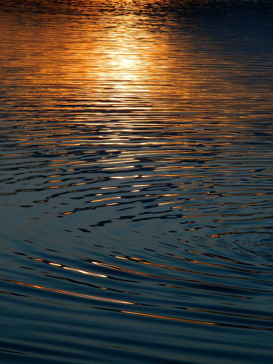 water, reflection in the water, glare on the water, river, pond, lake, nature, autumn, sunset, rippled