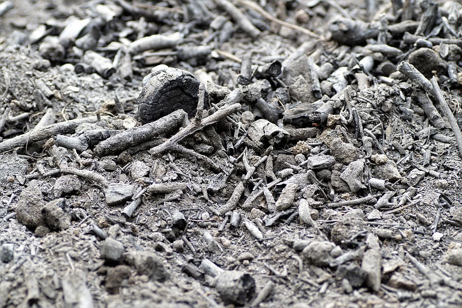 ash, scorch, after the fire, charred, the remnants of the, tinder, burnt, selective focus, textured, full frame
