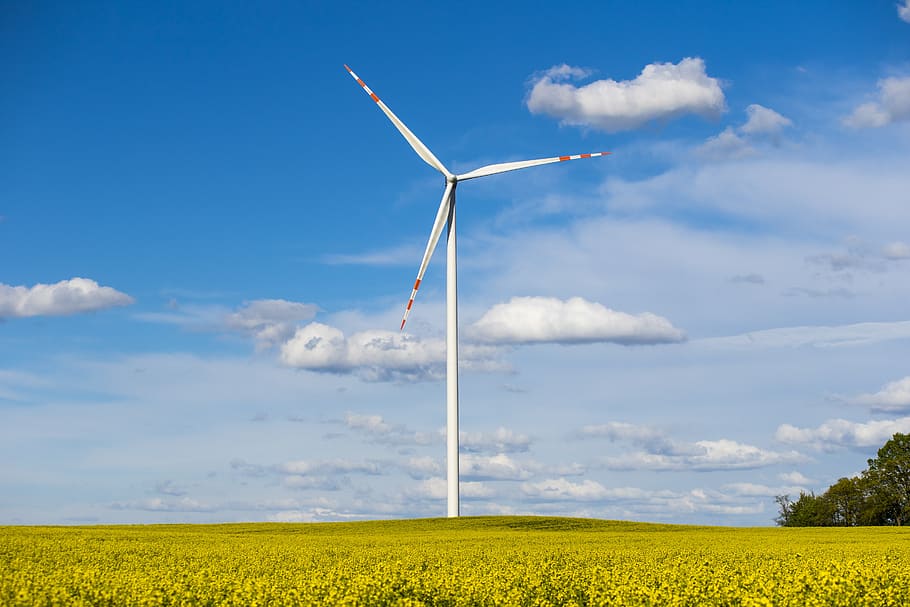 rapeseed, wind turbine, windmill, sky, the environment, alternative, ecology, the windmills, innovation, generator
