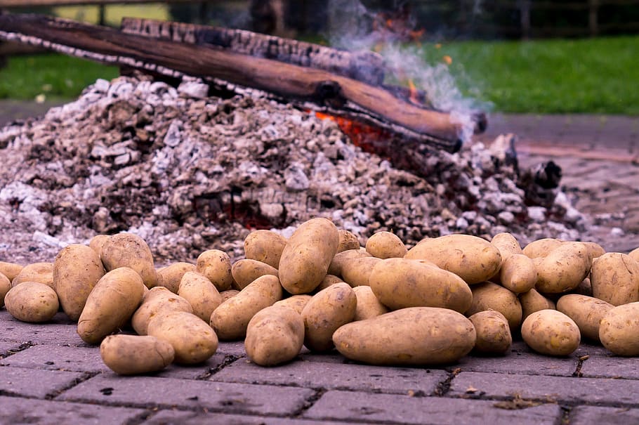 api kentang, kentang panggang, bara, makan, minum, musim gugur, kentang, tradisi, api, sauerland