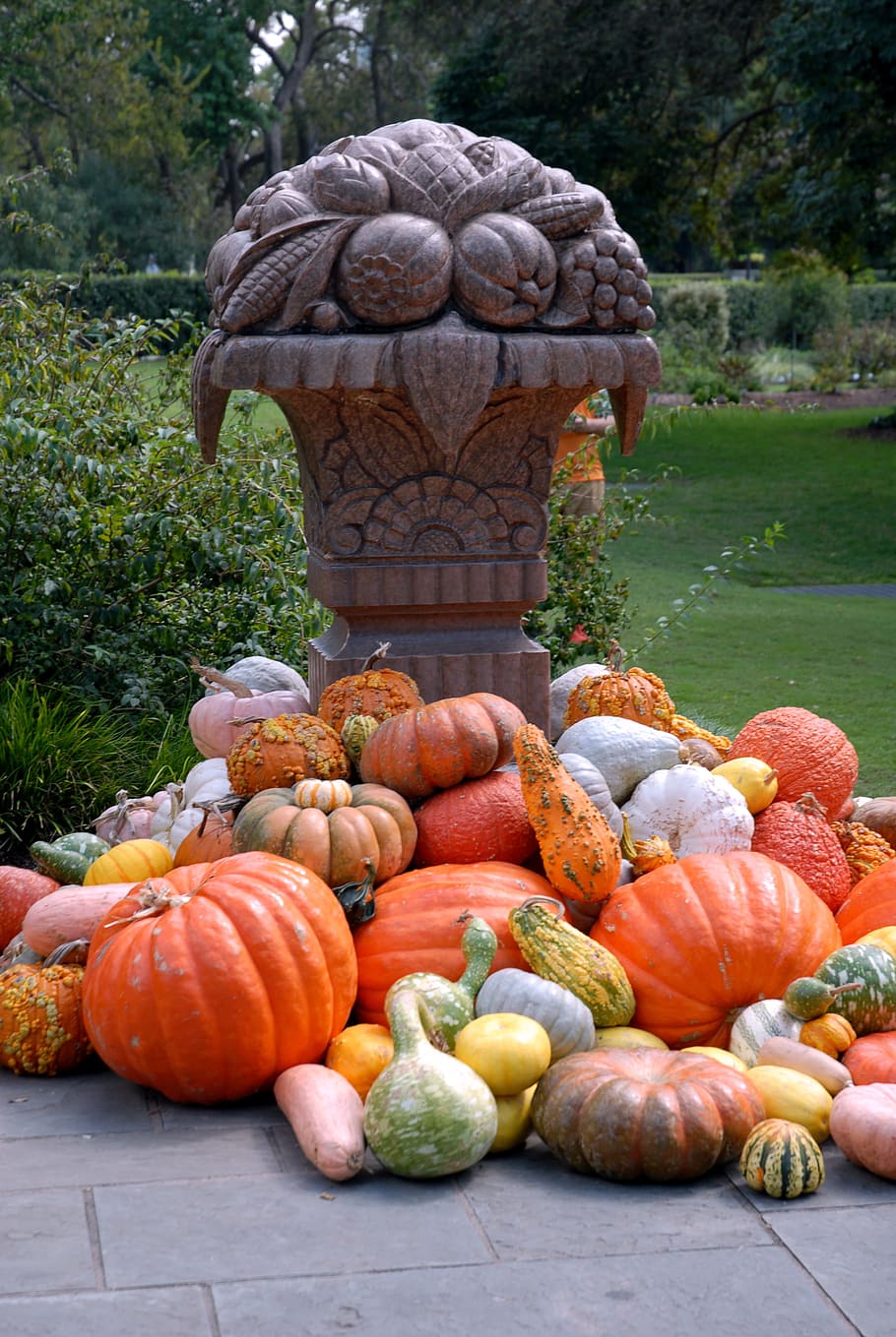 calabaza, octubre, víspera de todos los santos, otoño, naranja, temporada, cosecha, vegetal, naturaleza, parche