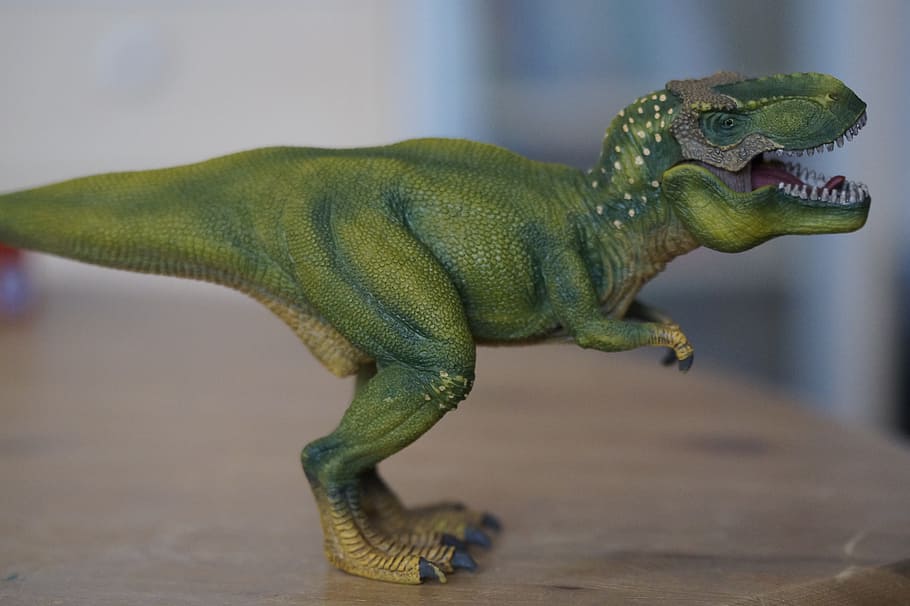 green, dinosaur figurine, brown, table, dino, dinosaur, tyrannosaurus rex, replica, toys, children