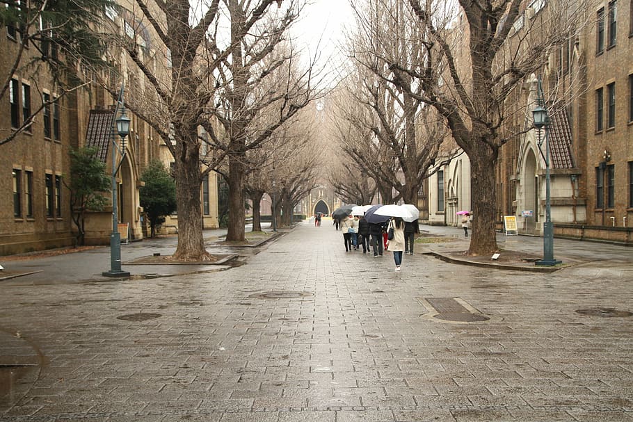 universidade de tóquio, história, japão, rua, cena urbana, pessoas, cidade, arquitetura, vida na cidade, exterior do edifício