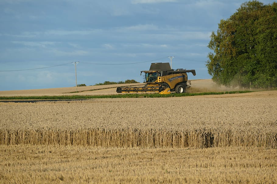 thresh, agriculture, cereals, harvesting, farm, field, crop, rural Scene, combine Harvester, machinery