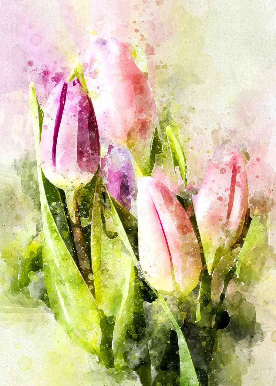 pink tulips painting, tulips, flowers, tulip bouquet, violet, pink, nature, plant, spring, natural