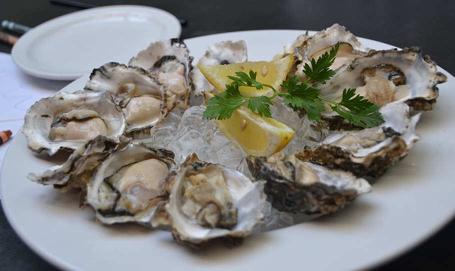 oysters, food, oyster, seafood, fresh, platter, food and drink, plate, freshness, wellbeing