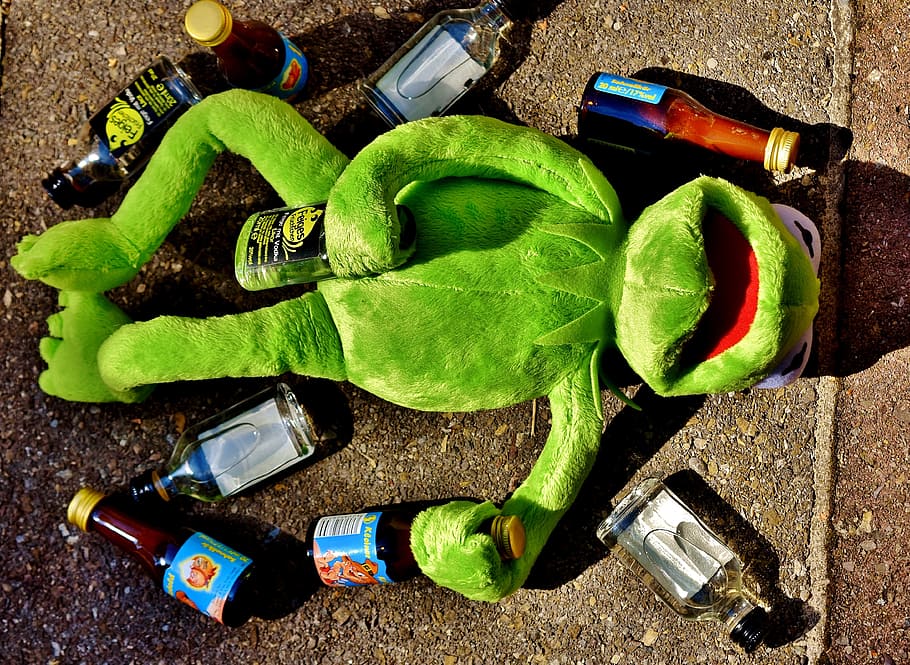 kermit, frog, beer bottle, drink, alcohol, drunk, rest, sit, figure, funny