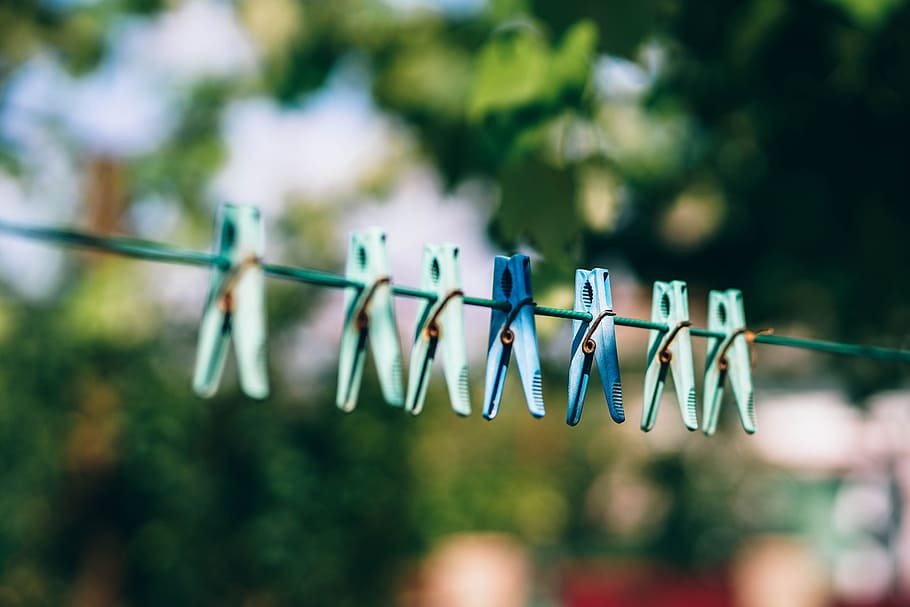 blue, green, clothes pins close-up photography, background, clamp, clip, closeup, clothes, clothesline, clothespin