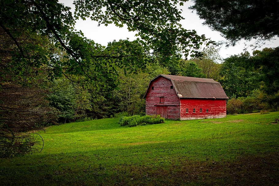 赤, 納屋, 囲まれた, 木, 赤い納屋, 農場, 素朴な, 田舎, 農業, 農村