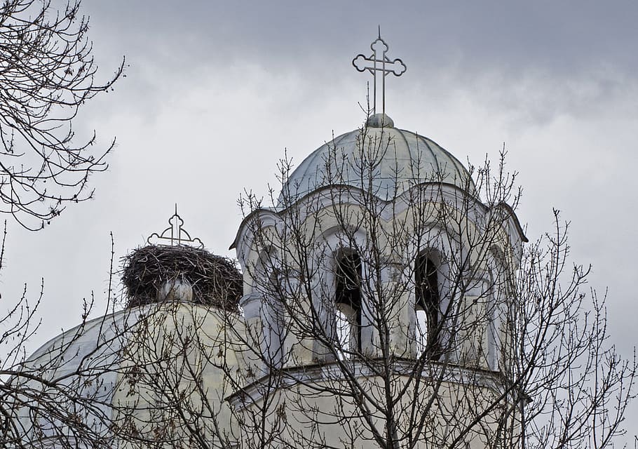 stork nest on church, orthodox, sunday, stork, nest, bird, spring, cross, crosses, religion