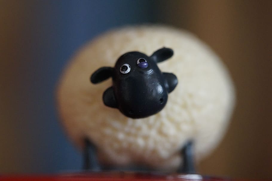 shirley, sheep, shaun the sheep, cute, soft toy, teddy bear, thick, head, black and white, england