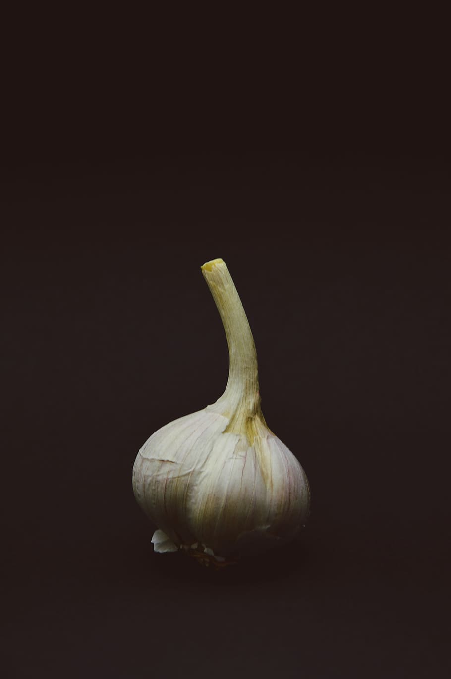 simplistic garlic, Simplistic, garlic, minimalistic, vegetable, vegetables, food, spice, freshness, organic