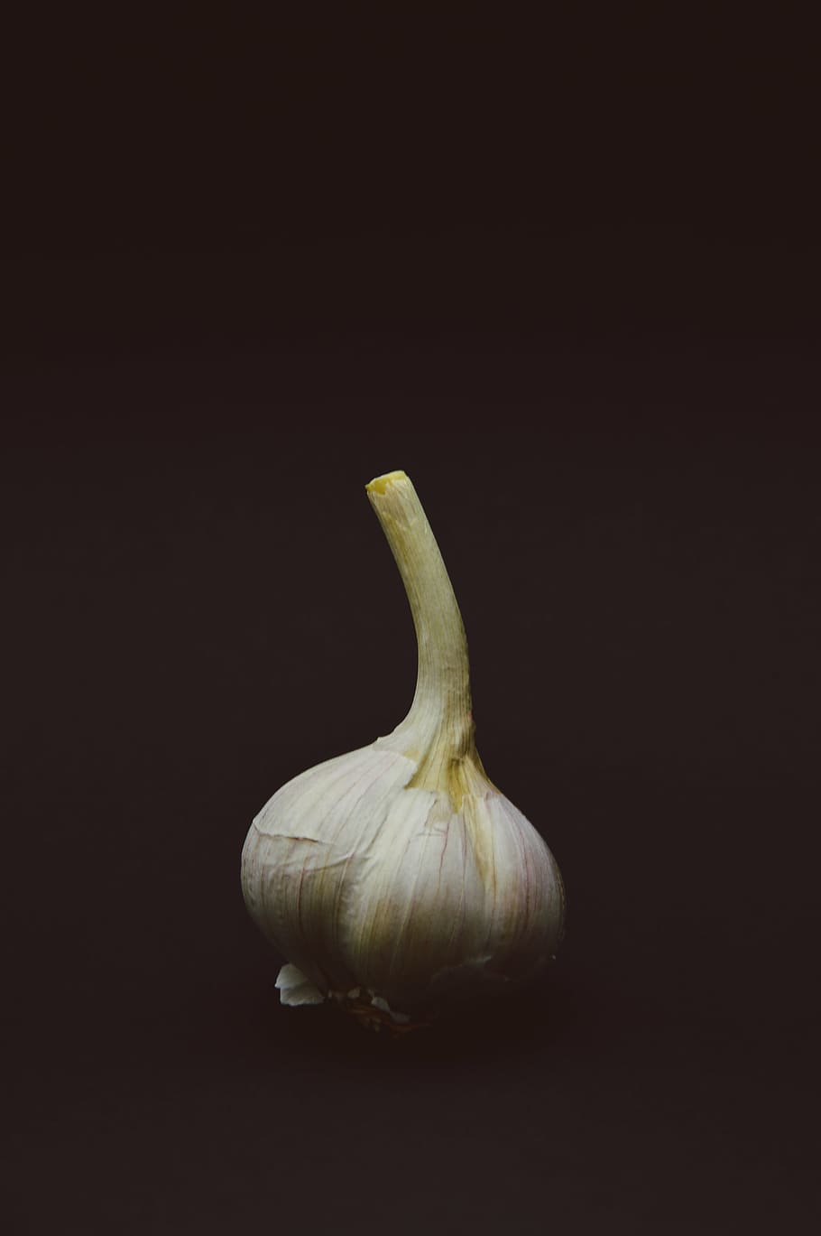 white garlic, onion, food, food and drink, studio shot, healthy eating, black background, freshness, garlic, colored background