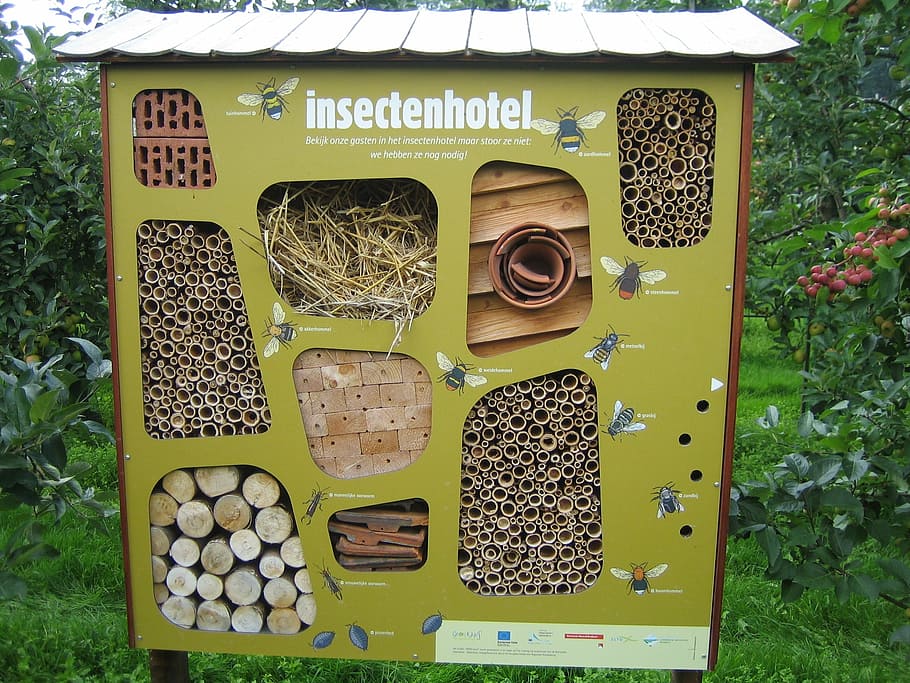 insects hotel, bees, nature, text, day, plant, green color, outdoors, grass, land vehicle