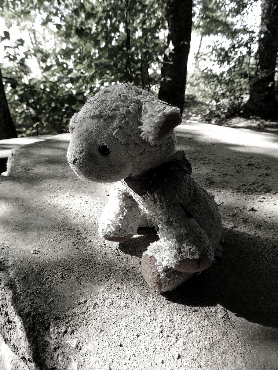 Teddy Bear, Sad, Stuffed Animal, Child, lonely, grey, playground, nature, wood, alone