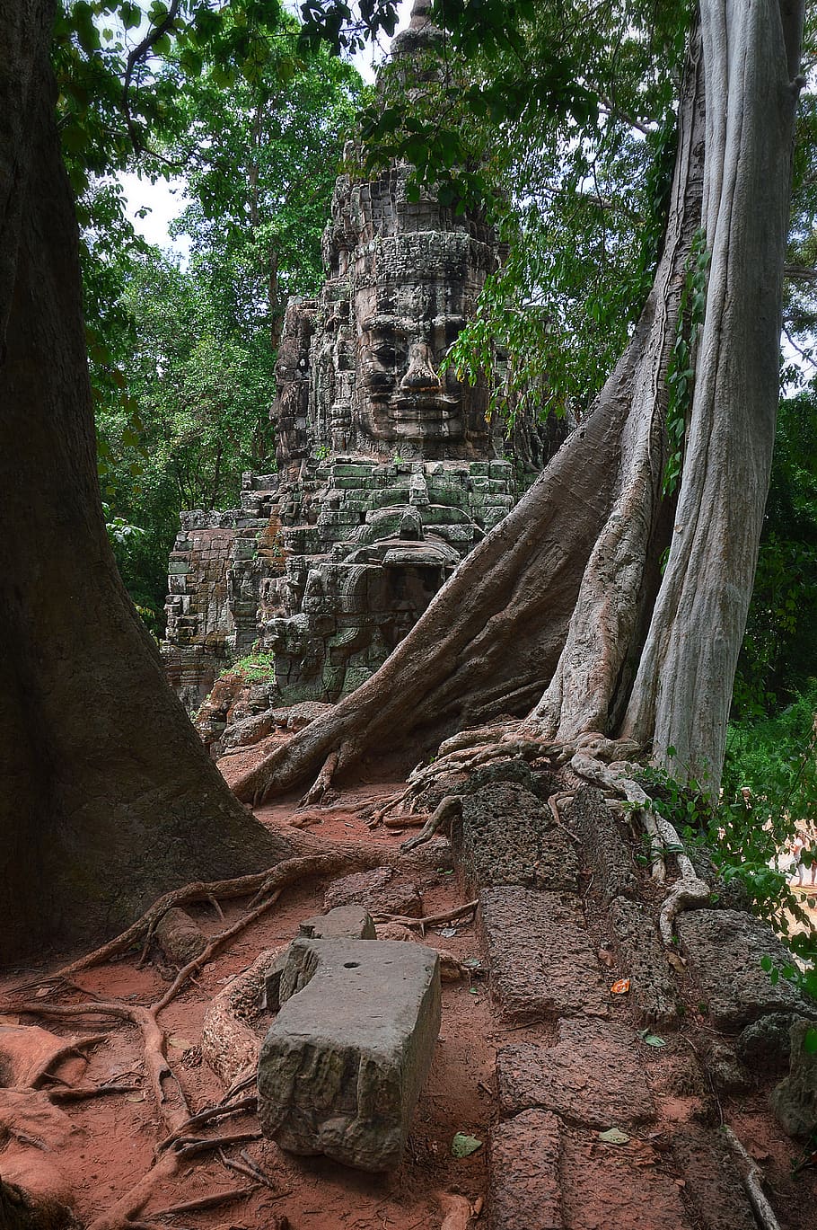 angkor, arquitectura, asia, buda, budismo, camboya, cara, bosque, portón, selva