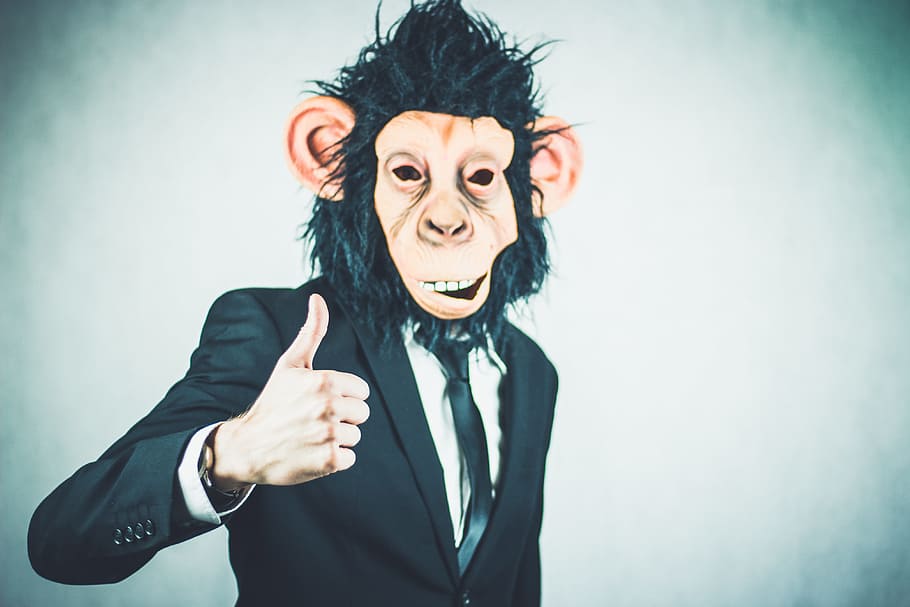 man, wearing, monkey mask, monkey, application, training, business, portrait, start up, startup