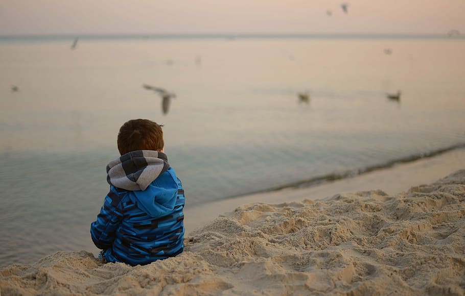 toddler, sitting, sand, body, water, daytime, child, birds, sea, loneliness