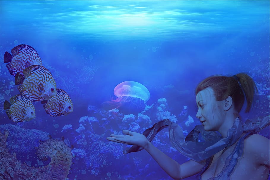 bajo el agua, océano, aguas, mar, tropical, peces, nadar, medusas, mundo submarino, brillante