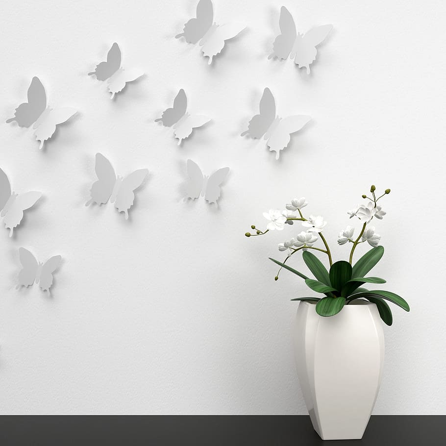white, orchid, vase, butterfly, wall, decoration, color, paper decoration, colorful, pleasure