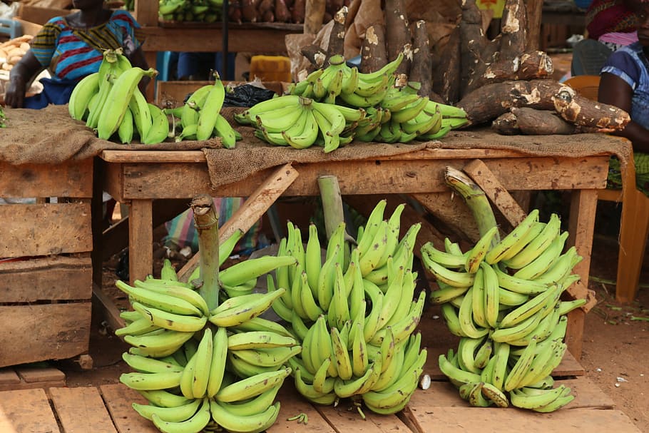 オオバコ, アフリカ, バナナ, 果物, 緑, 市場, 食べ物と飲み物, 人なし, 野菜, 食べ物