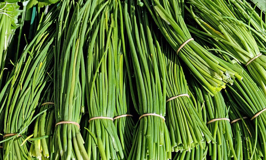 pile, bundle, green, scallions, chives, herbs, culinary herbs, plant, nature, green color