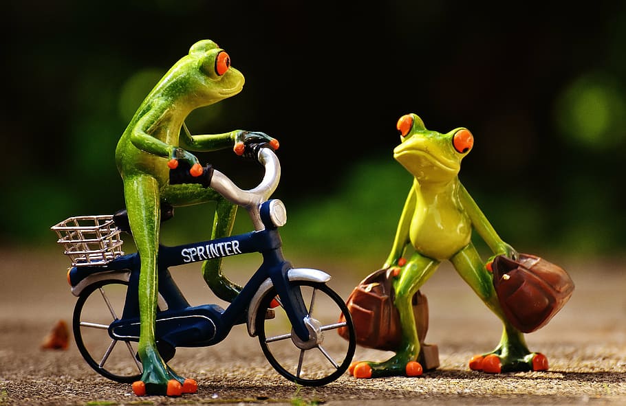 frog riding bicycle, frogs, arrive, bike, holdall, travel, cute, frog, funny, figure