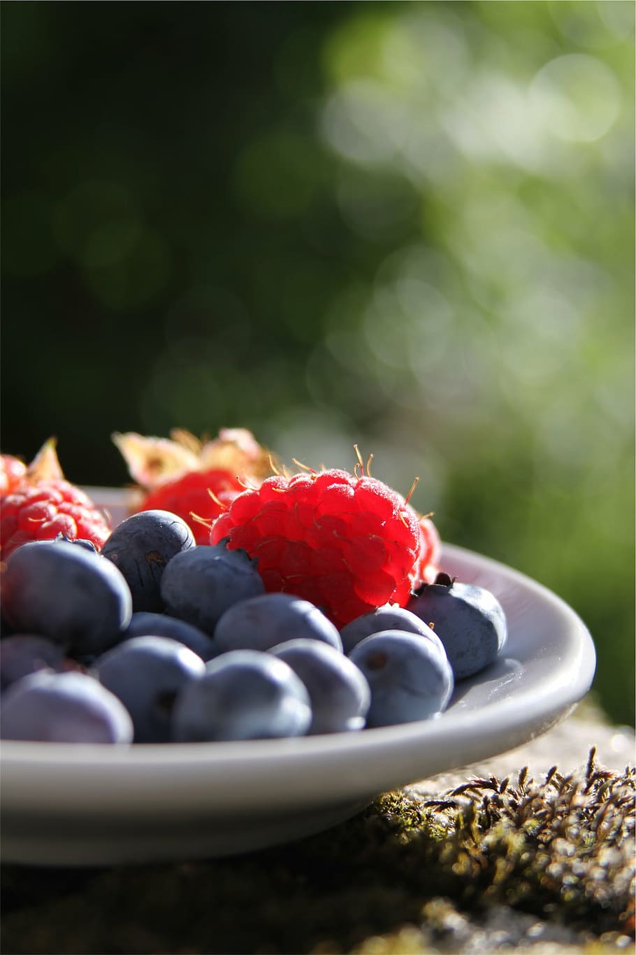 raspberries, blueberries, plate, berries, white, ceramic, fruits, food, healthy, fruit